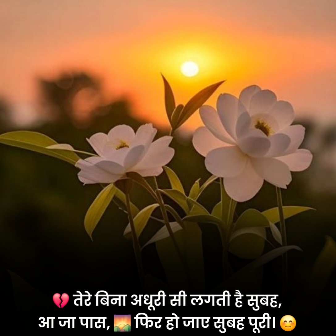 Romantic Good Morning Shayari